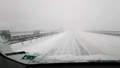 Подадени са 19 сигнала за произшествия в област Ловеч 9 Подадени са 19 сигнала за произшествия в област Ловеч