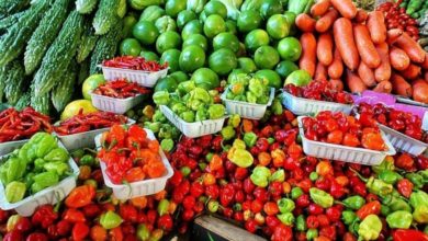 български производители