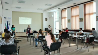Доброволчество