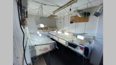 Разкриха две нарколаборатории в Летница