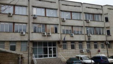 Дават на съд убийците на бременна кошута