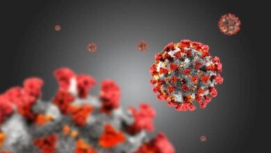 Нови 23 случаи на COVID-19 в област Ловеч