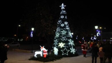 Бояджиева запали светлините на коледната елха в Тетевен