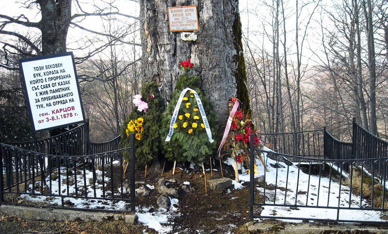 цветя пред Карцовият бук