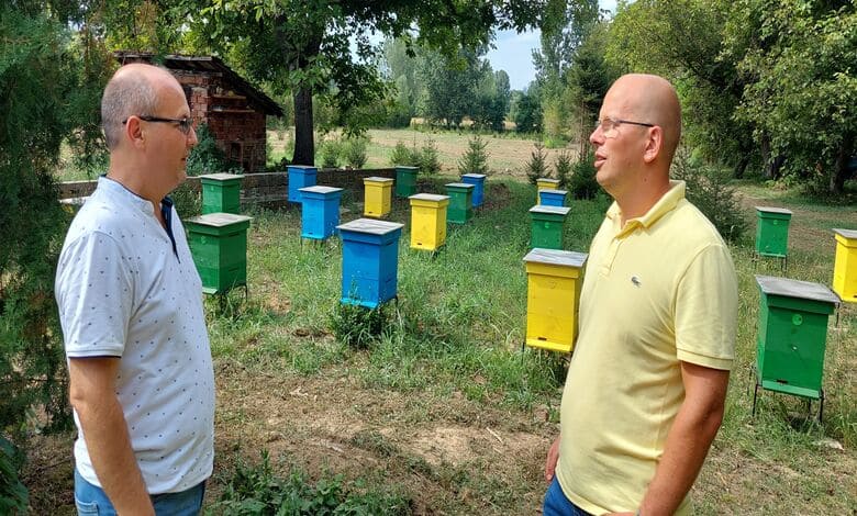 разсадника на Държавното горско стопанство - Ловеч