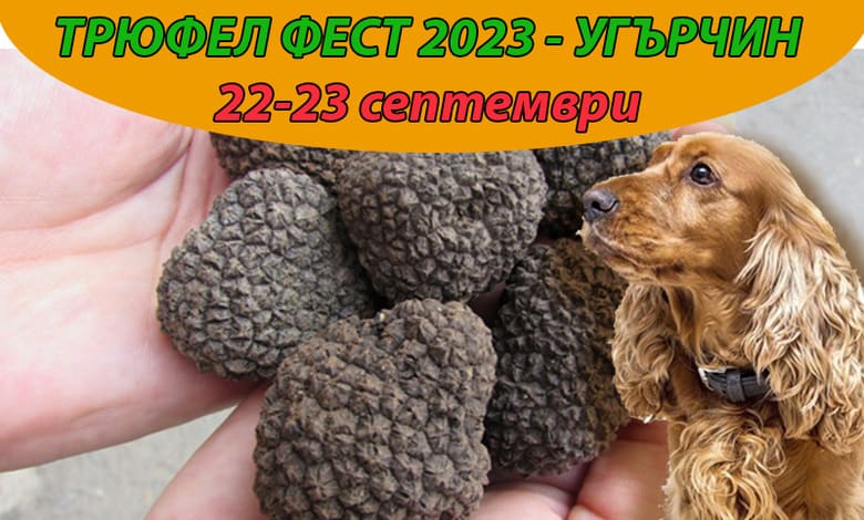 Трюфел фест 2023 1 Трюфел фест 2023