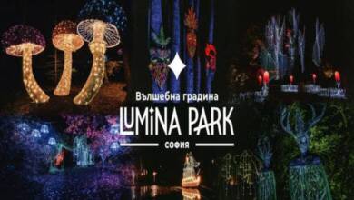 светлинно изложение Lumina park
