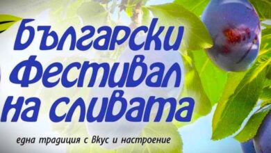 Български фестивал на сливата в Троян