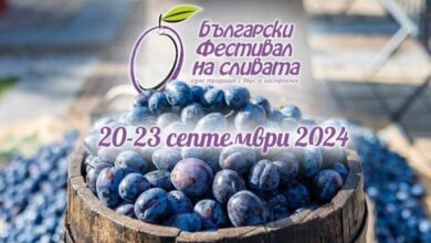 Конкурс за най-добра домашно приготвена сливова ракия 2024