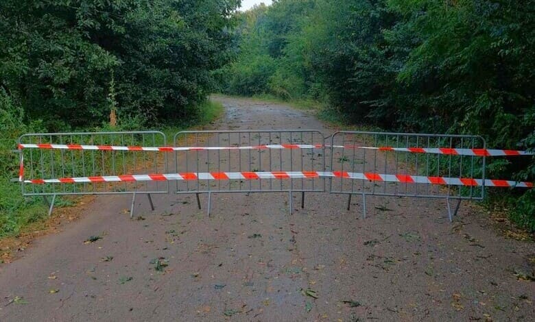 пътят от Добродан за Дебнево