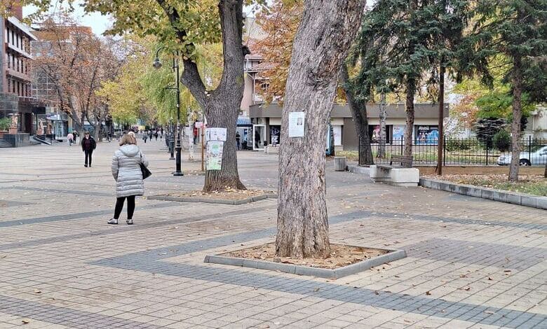 Отстраняване на некролози в Ловеч