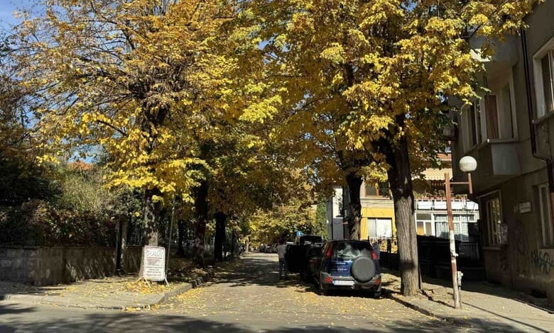 Реконструкция на улица „Любен Каравелов“ в Троян: Обществена дискусия и бъдещето на проекта 1 улица „Любен Каравелов“ в Троян