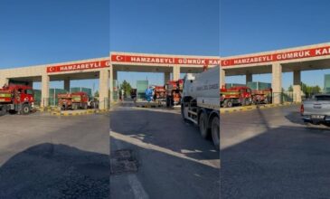 lesovo 1
