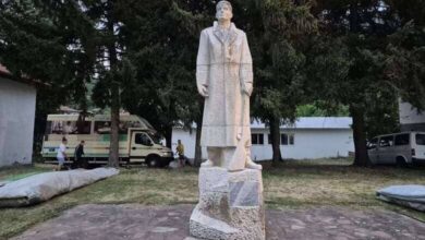 Паметник на Ариф Дженин в село Глогово 14 Паметник на Ариф Дженин в село Глогово