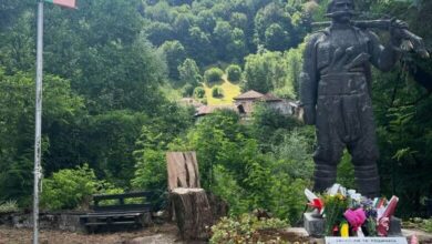 Паметник на Панайот Хитов в село Дивчовото