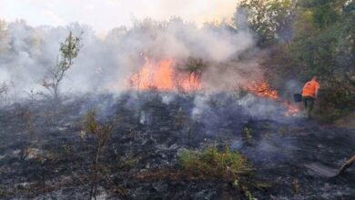Пожари в Къкрина и Радювене: Община Ловеч предупреждава за висок риск и призовава за внимание 2 Пожар в землището на село Къкрина, август 2025