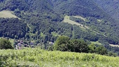 Защитената местност Черният рът край Рибарица