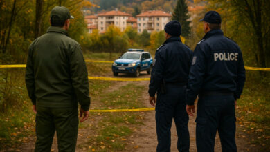 мерки за безопасност при мечки в населени места