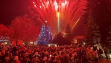 В Троян запалиха светлините на коледната елха