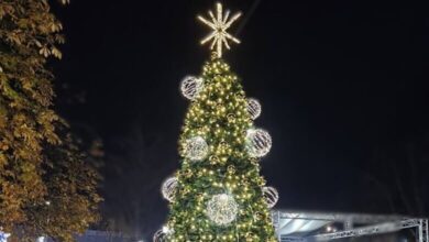 В Тетевен запалиха светлините на коледната елха
