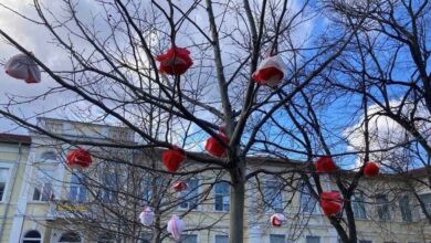 Мартенско дърво, украсено от ученици в двора на училище в Ловеч