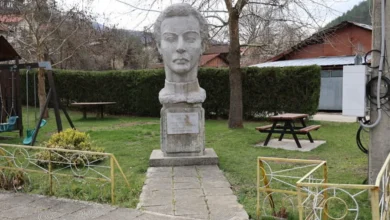 Бюст-паметник на революционера Никола Войновски в озеленен двор с детска площадка